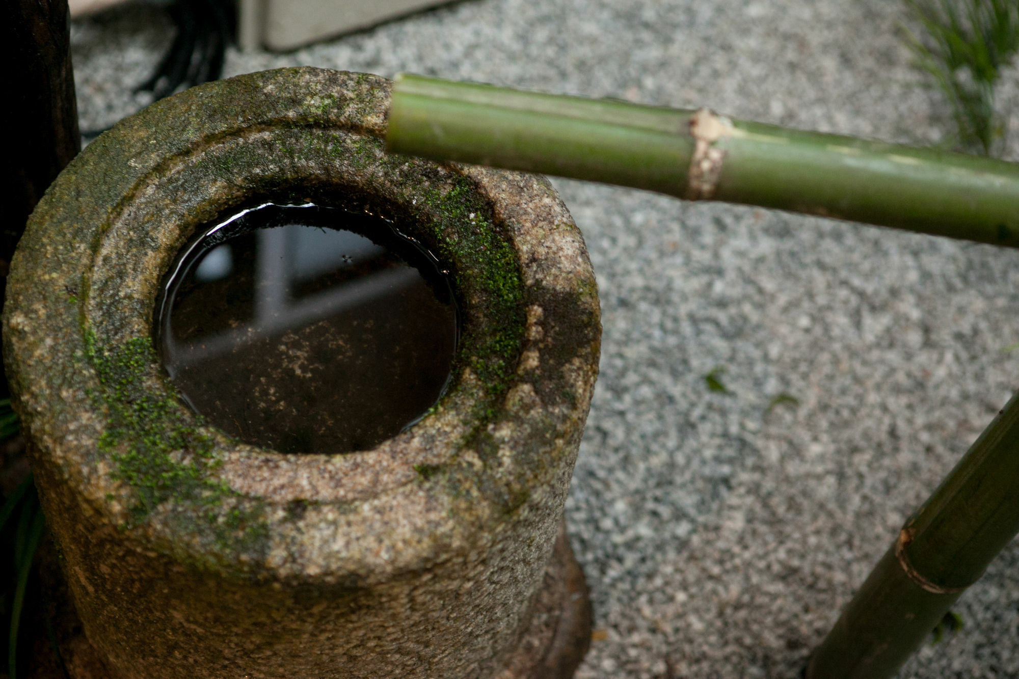 Rinn Kujokamogawa 京都市 エクステリア 写真
